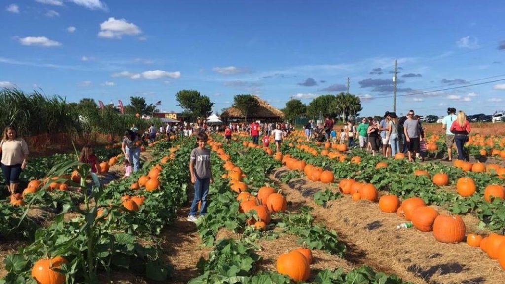 Bedner’s Farm Fresh Market